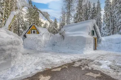 a small house covered in snow in a forest at A Bear's Rest in Homewood