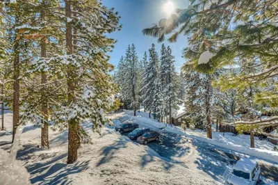 two cars parked in a snow covered yard with trees at The Pines at Rocky Point in Truckee