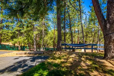 a hammock in a park with trees at Starry Pines- Pet friendly/spa/affordable in Oakhurst