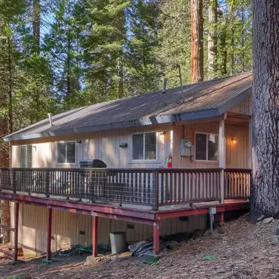 Hibernation Hideaway- Inside Yosemite- Dog Friendly