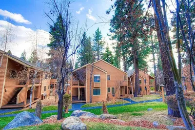 a group of houses in the woods with trees at Delightful McCloud condo in Incline Village