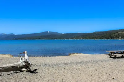 a bench on a beach next to a body of water at Tree-Lined Views #8 in Tahoe City