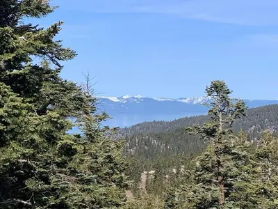 a view of a mountain from between two trees at Life's Better The Milky Way condo in Stateline