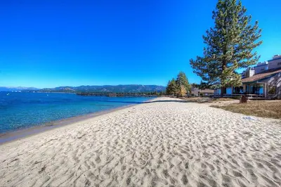 a sandy beach with a tree and the water at Sky Lake Splendor condo in South Lake Tahoe