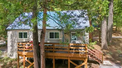 a tiny house in the woods with a bench at Cabin #6 in Strawberry