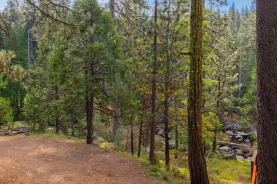 a dirt road in a forest with trees at Cabin #10 in Strawberry