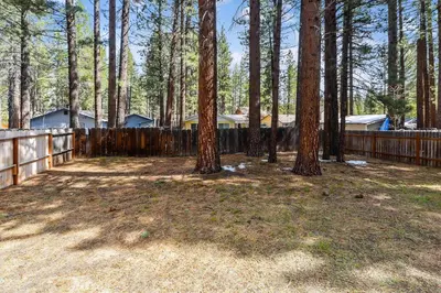 a yard with trees and a wooden fence at Pet Friendly - Close To Heavenly, Steps To The River in South Lake Tahoe
