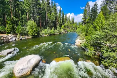 a river in the middle of a forest at Bigfoot Cabin in Camp Connell