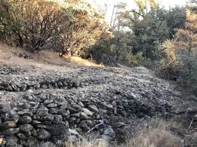a rocky road with trees on the side of it at Bear Paw Cabin new construction near Yosemite in Mariposa