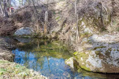 a small pond in the middle of a forest at Forest Cabin by China Creek in Oakhurst