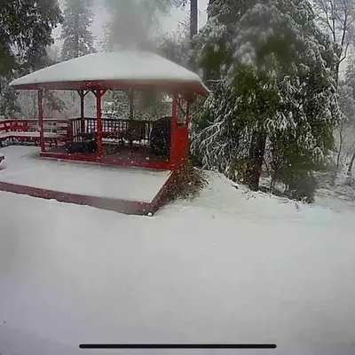 Forest Cabin by China Creek