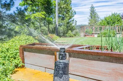 a sprinkler is spraying water into a garden at Alpine 4 Bedroom Retreat with Hot tub and Pool table in Coarsegold
