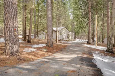 a road leading to a house in the woods at Renovated Pioneer Home in Serene Wooded Setting! in Pioneer