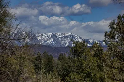 a snow covered mountain in the distance with trees at Cozy Cub Cabin, brand new home near Yosemite in Mariposa