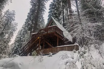 a log cabin in the woods in the snow at Peaceful Pine Getaway in Dorrington